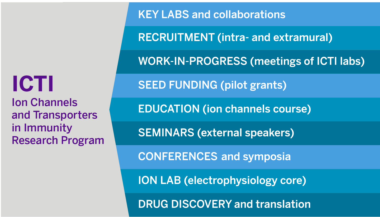 Ion Channels and Transporters in Immunity Research Program Components